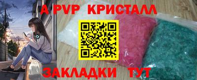 шишки Заводоуковск