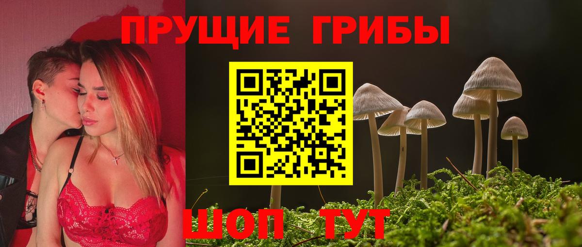 Галлюциногенные грибы ЛСД  Псилоцибиновые грибы Magic Shrooms  Магадан  купить наркотик  Вход с VPN 